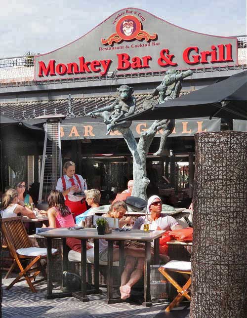  , Monkey Bar